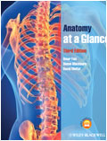 The Anatomy at a Glance 3rd Edition