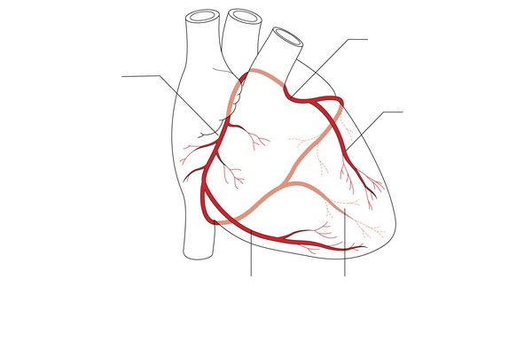 Figure 10.1