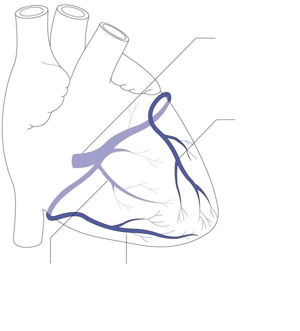 Figure 10.2
