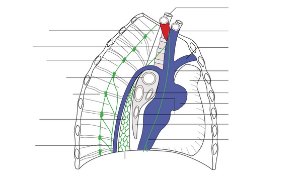 Figure 11.3