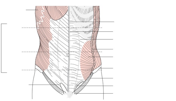 Figure 15.1