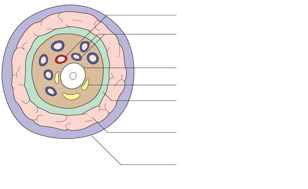 Figure 15.5