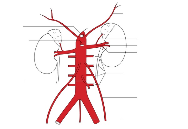 Figure 16.1