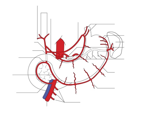 Figure 16.2
