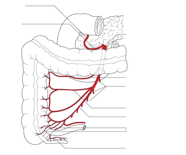 Figure 16.3