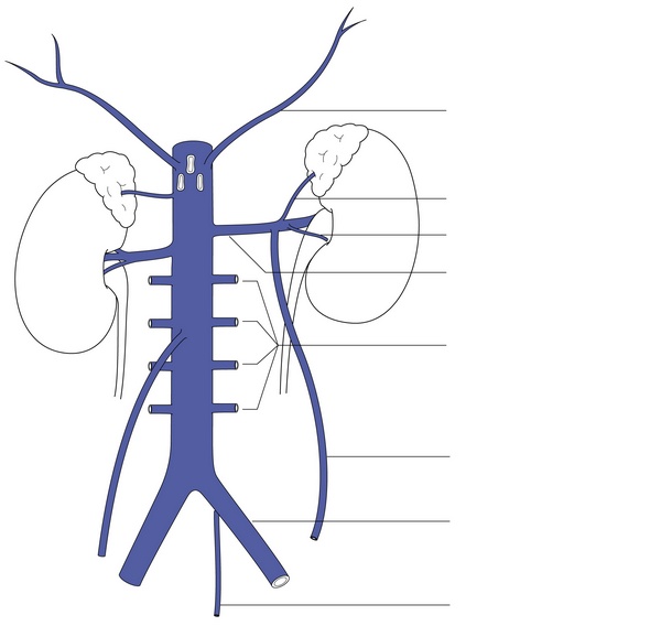 Figure 17.1
