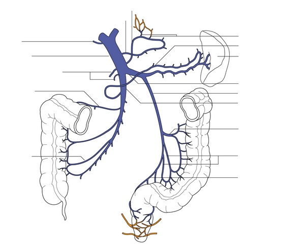 Figure 17.2
