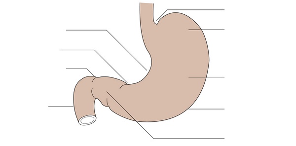 Figure 19.1