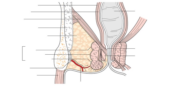Figure 21.2
