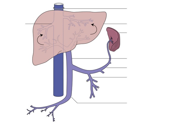 Figure 22.1