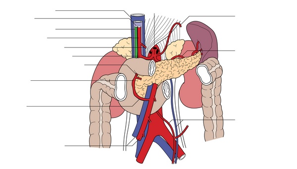 Figure 23.1