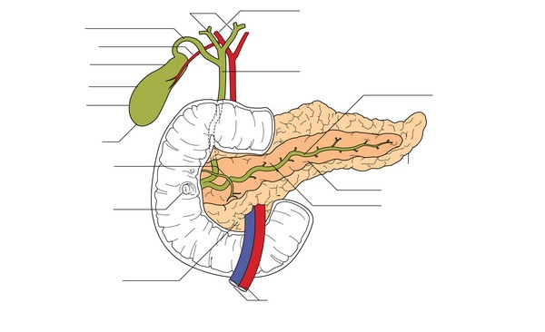 Figure 23.2