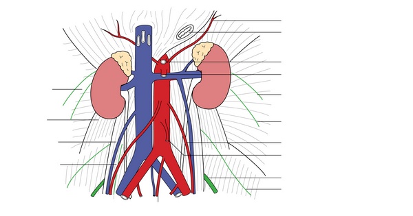 Figure 24.1