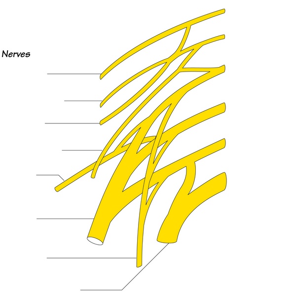 Figure 25.1