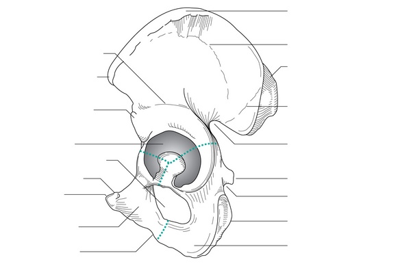 Figure 27.1