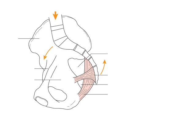 Figure 27.4