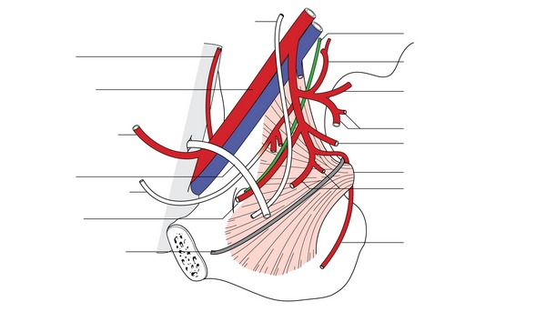Figure 28.3
