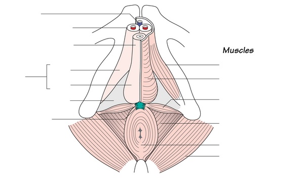 Figure 29.1