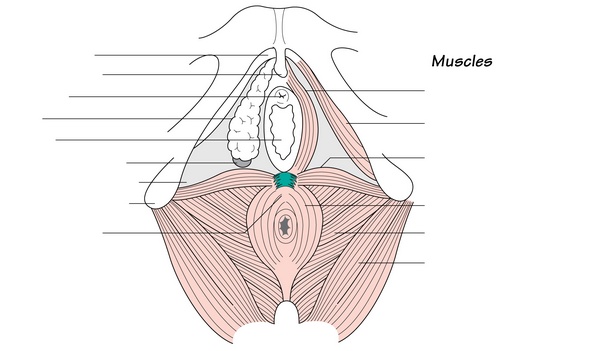 Figure 29.2