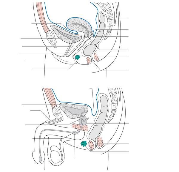 Figure 30.1