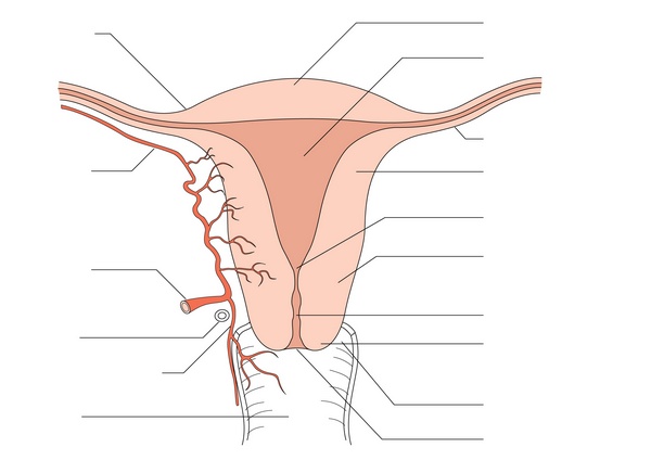 Figure 30.3