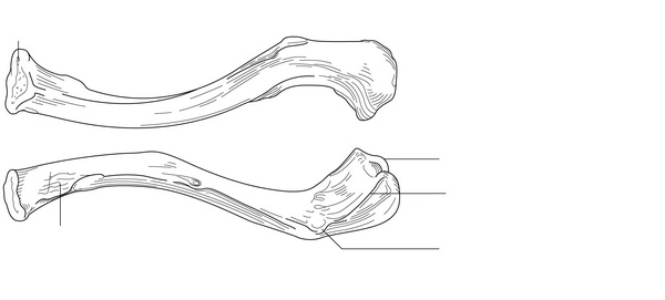 Figure 32.1