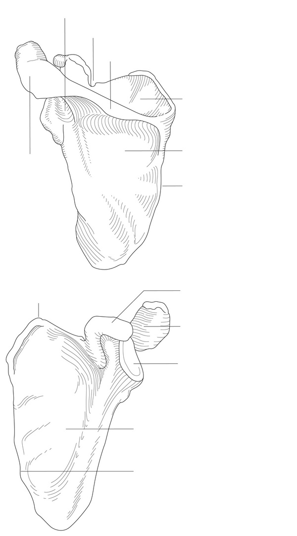 Figure 32.3