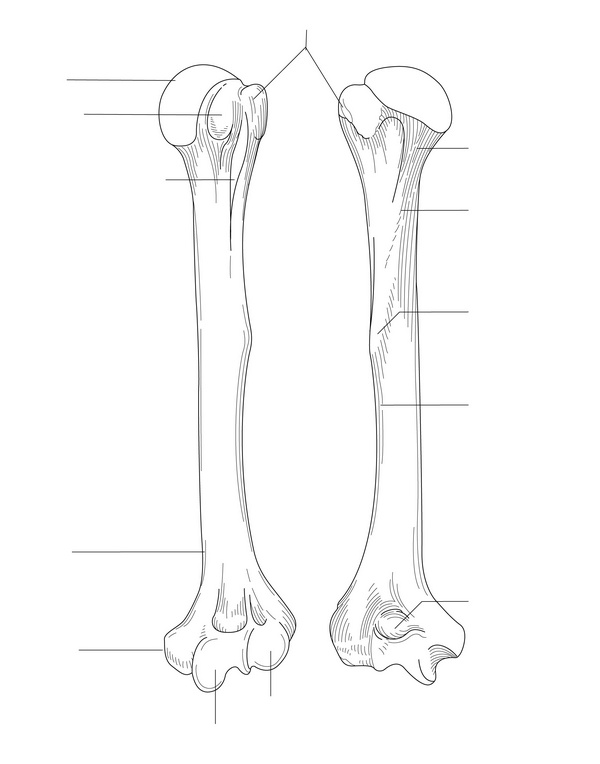 Figure 32.4