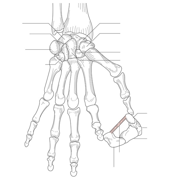 Figure 32.7