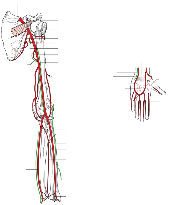 Figure 33.1