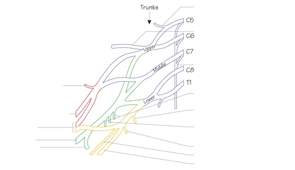 Figure 35.1