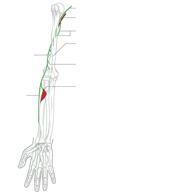 Figure 35.2