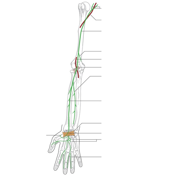Figure 35.3