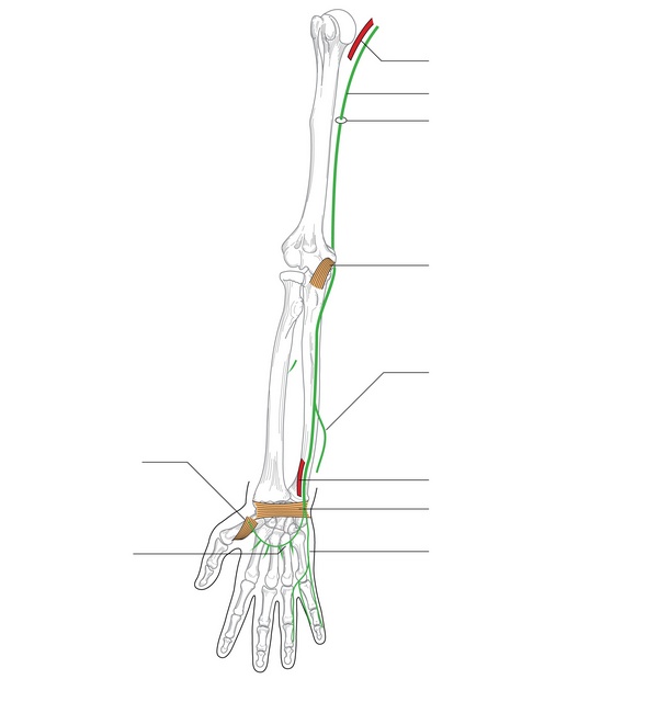 Figure 36.1