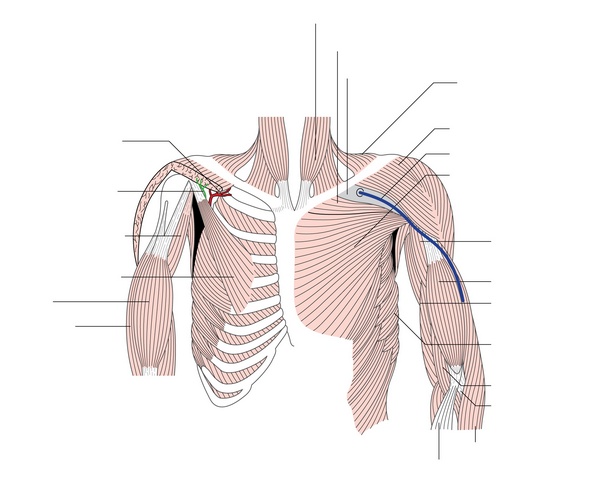 Figure 37.2