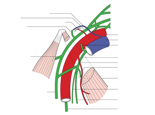 Figure 38.2