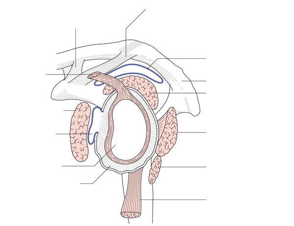 Figure 39.1