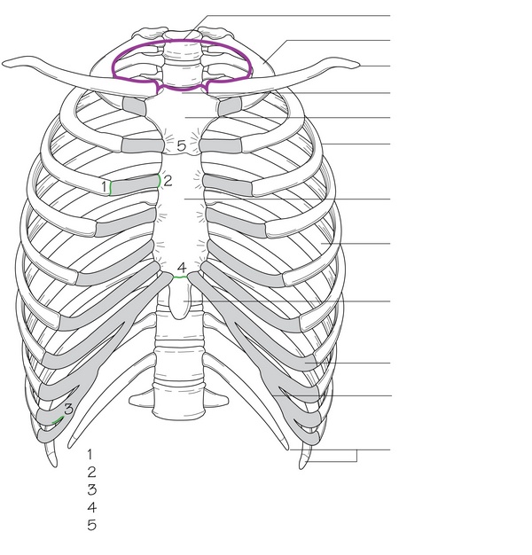 Figure 3.1