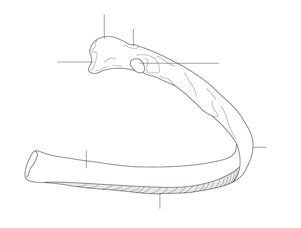 Figure 3.2
