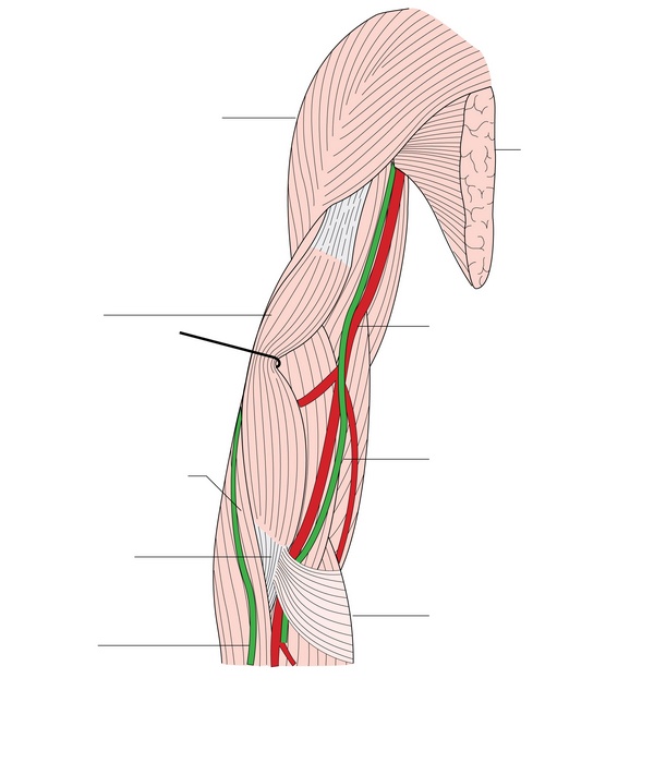 Figure 40.1