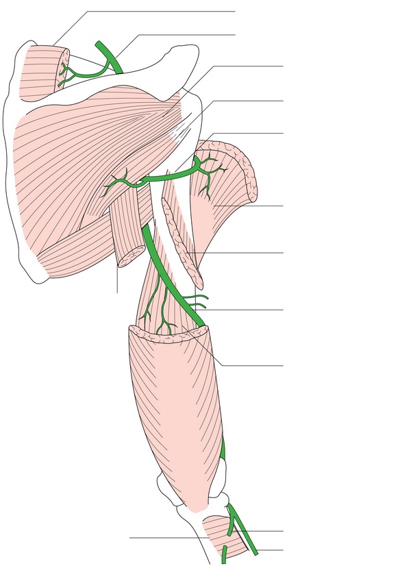 Figure 40.2