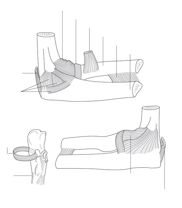 Figure 41.2