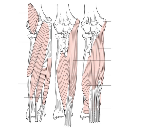 Figure 42.1