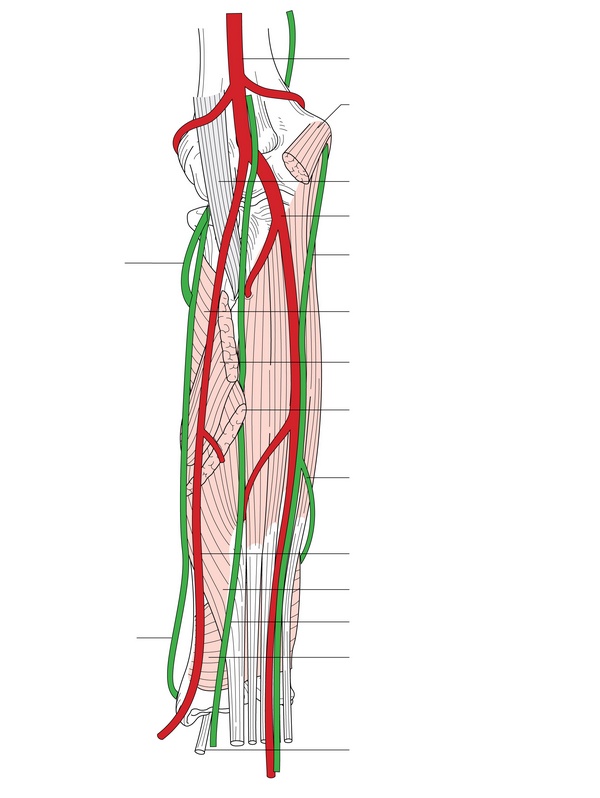 Figure 42.2