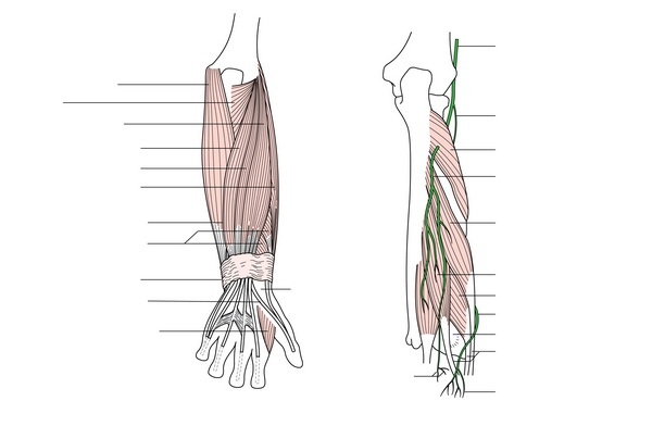 Figure 42.3