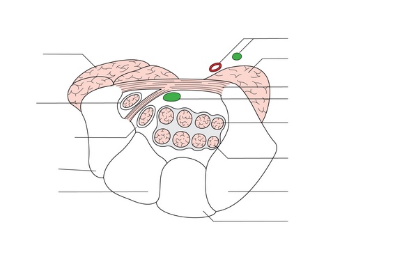 Figure 43.1