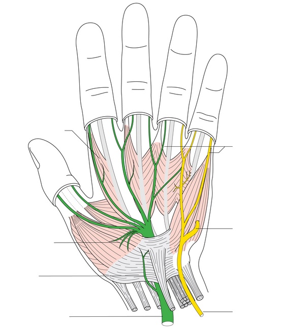 Figure 44.3