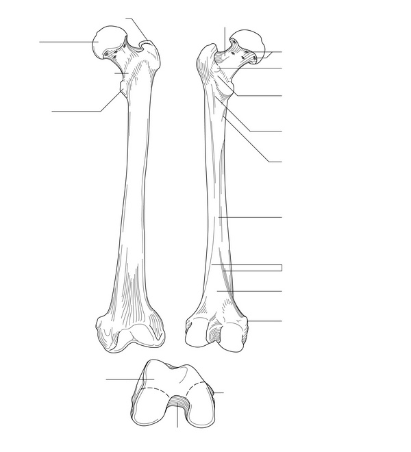 Figure 46.1