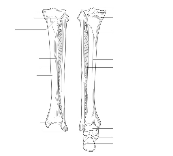 Figure 46.2