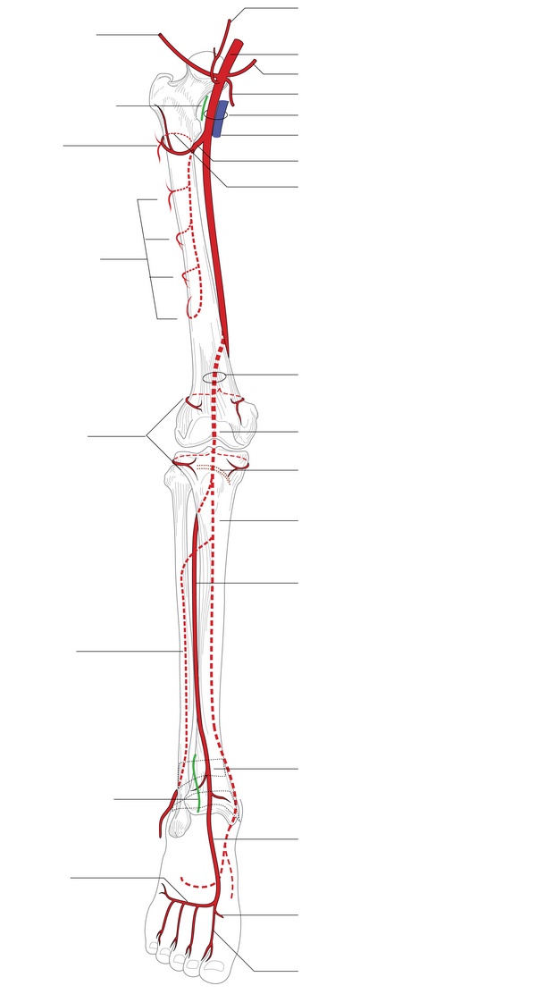 Figure 47.1